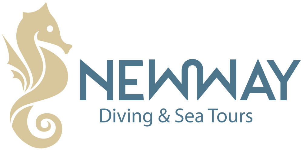 NW Diving & Sea Tours